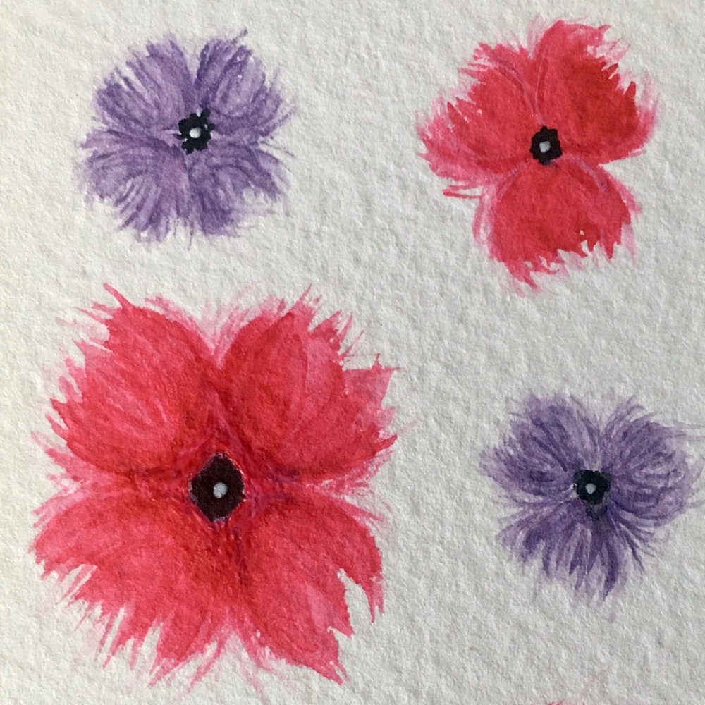 Meet your Posher, Julissa